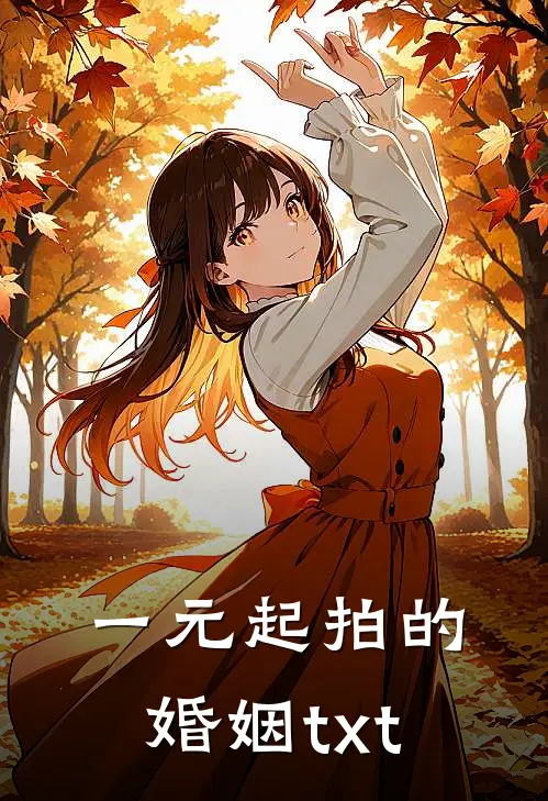 一元起拍的婚姻txt